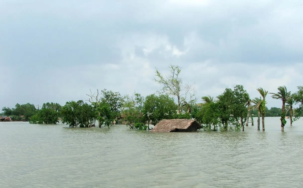 CWC coastal background