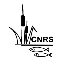 Center for Natural Resource Studies (CNRS) logo